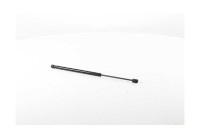 Gas spring, trunk