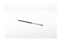 Gas spring, trunk