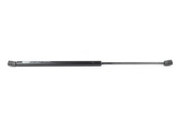 Gas spring, trunk