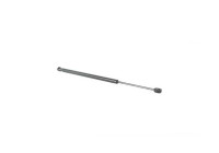 Gas spring, trunk