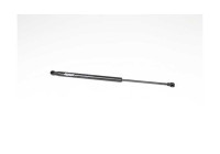 Gas spring, trunk