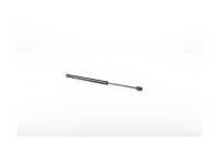 Gas spring, trunk