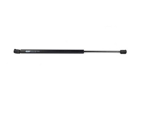 Gas spring, trunk