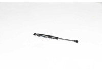Gas spring, trunk