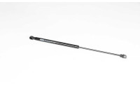 Gas spring, trunk