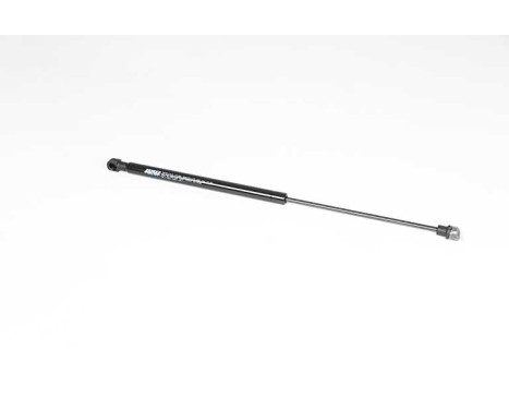 Gas spring, trunk