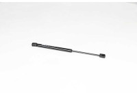 Gas spring, trunk