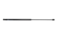 Gas spring, trunk