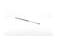 Gas spring, trunk