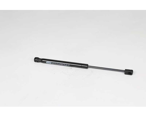 Gas spring, trunk