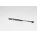 Gas spring, trunk