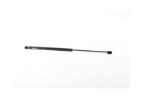 Gas spring, trunk