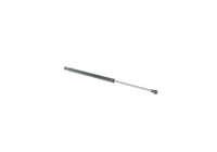 Gas spring, trunk