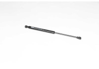 Gas spring, trunk