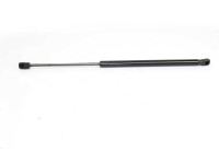 Gas spring, trunk