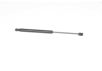 Gas spring, trunk