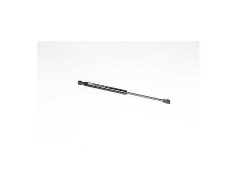 Gas spring, trunk, Image 2
