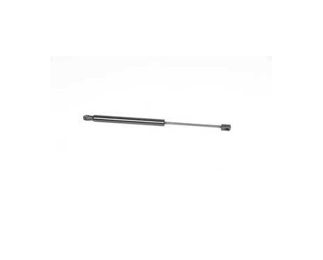 Gas spring, trunk, Image 2