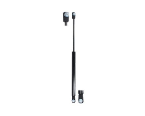 Gas spring, trunk