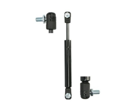 Gas spring, trunk