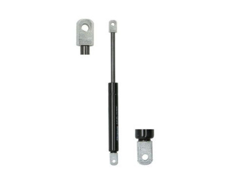 Gas spring, trunk