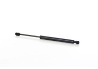 Gas spring, trunk
