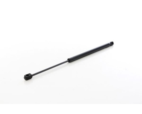 Gas spring, trunk