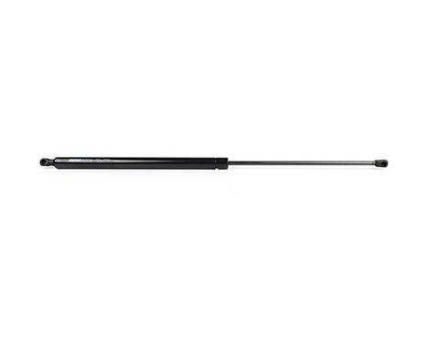 Gas spring, trunk, Image 2