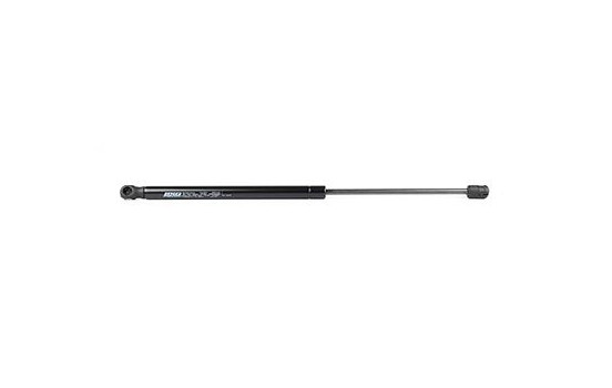 Gas spring, trunk, Image 2