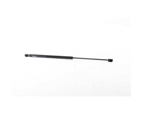 Gas spring, trunk, Image 2