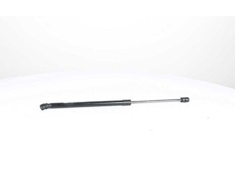 Gas spring, trunk, Image 2