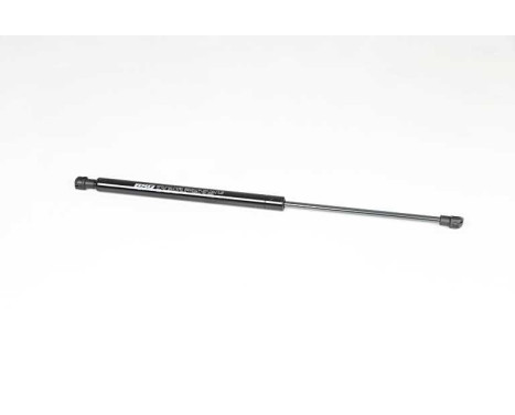 Gas spring, trunk, Image 2