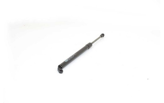 Gas spring, trunk, Image 2