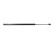 Gas spring, trunk, Thumbnail 2
