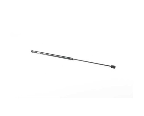 Gas spring, trunk, Image 2