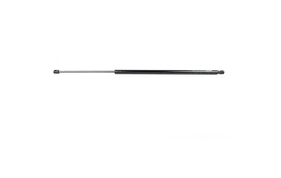 Gas spring, trunk, Image 2
