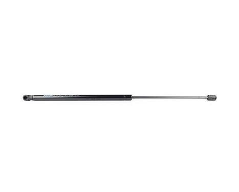 Gas spring, trunk, Image 2