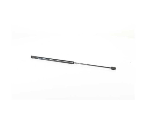 Gas spring, trunk, Image 2