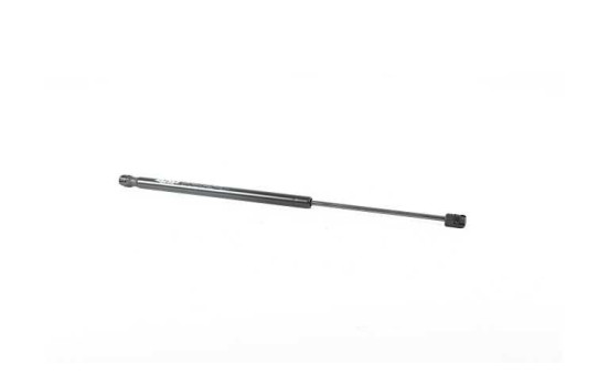 Gas spring, trunk, Image 2
