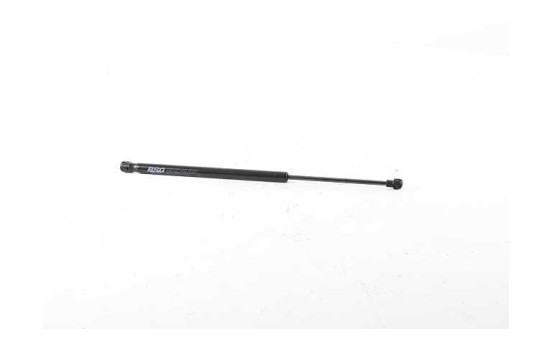 Gas spring, trunk, Image 2
