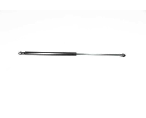 Gas spring, trunk, Image 2