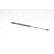 Gas spring, trunk, Thumbnail 2