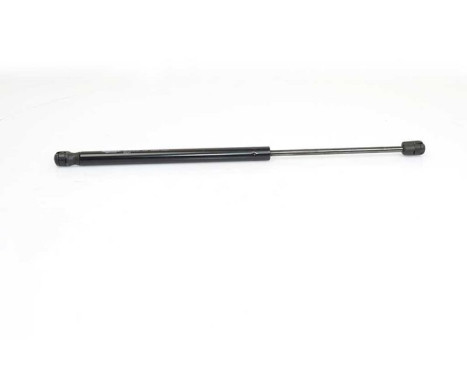 Gas spring, trunk, Image 2