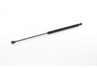 Gas spring, trunk