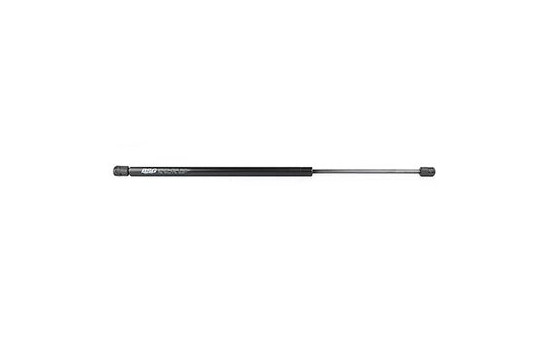 Gas spring, trunk, Image 2