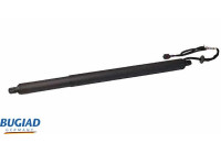 Gas spring, trunk
