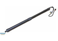 Gas spring, trunk