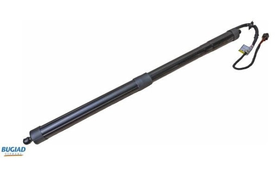 Gas spring, trunk