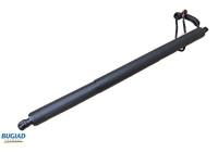 Gas spring, trunk