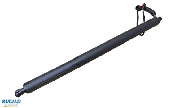 Gas spring, trunk